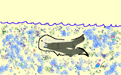 baleine