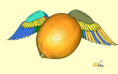 citronnelle