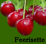 feerisette