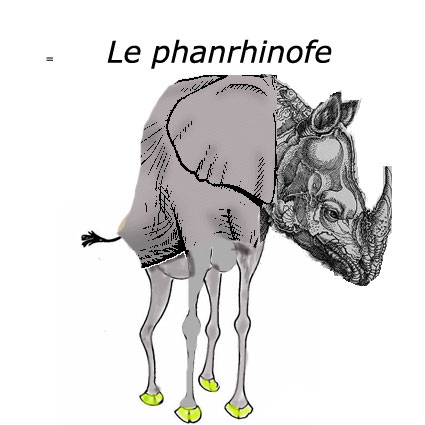 Un phanrinophe